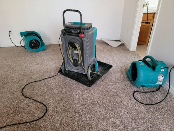 Best Carpet water damage restoration  in Citrus Springs, FL