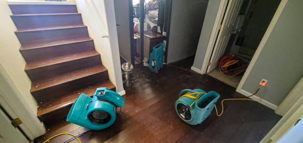 Best Flood damage cleanup  in Citrus Springs, FL
