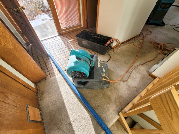 Best Residential water damage restoration  in Citrus Springs, FL