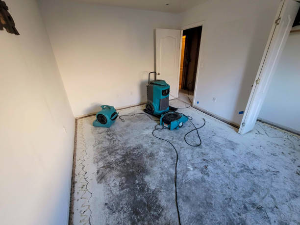 Best Fire Damage Restoration  in Citrus Springs, FL