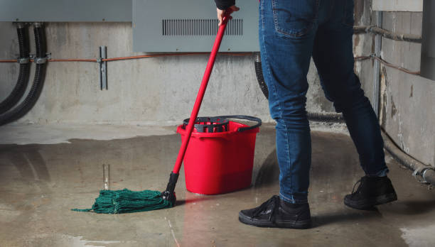 Best Emergency water extraction  in Citrus Springs, FL