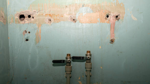 Best Fire Damage Restoration  in Citrus Springs, FL