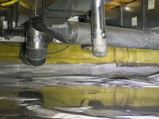 Best Emergency water damage restoration  in Citrus Springs, FL