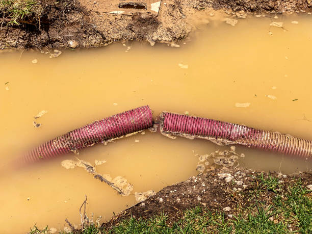 Best Water damage restoration near me  in Citrus Springs, FL