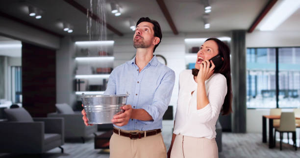 Best Water damage restoration near me  in Citrus Springs, FL