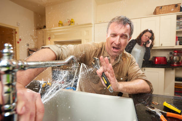 Best Local water damage restoration  in Citrus Springs, FL
